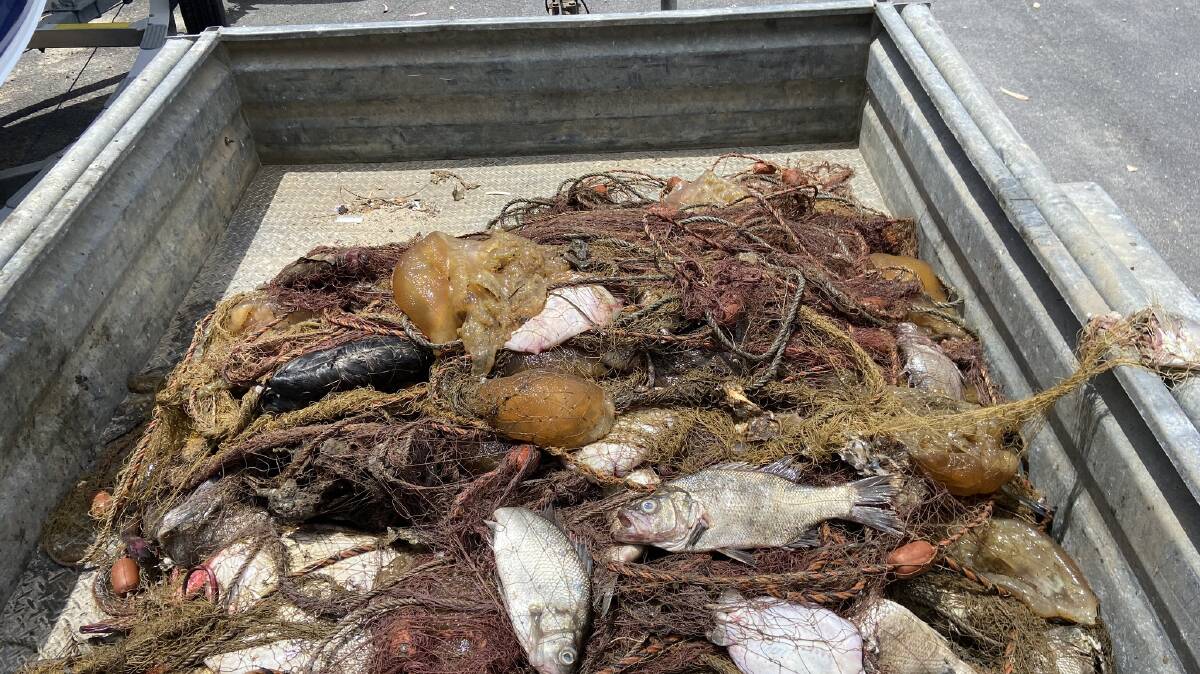 Some of the fish and netting retrieved from the Clyde River after a public tip-off. Picture by NSW DPI Fisheries 
