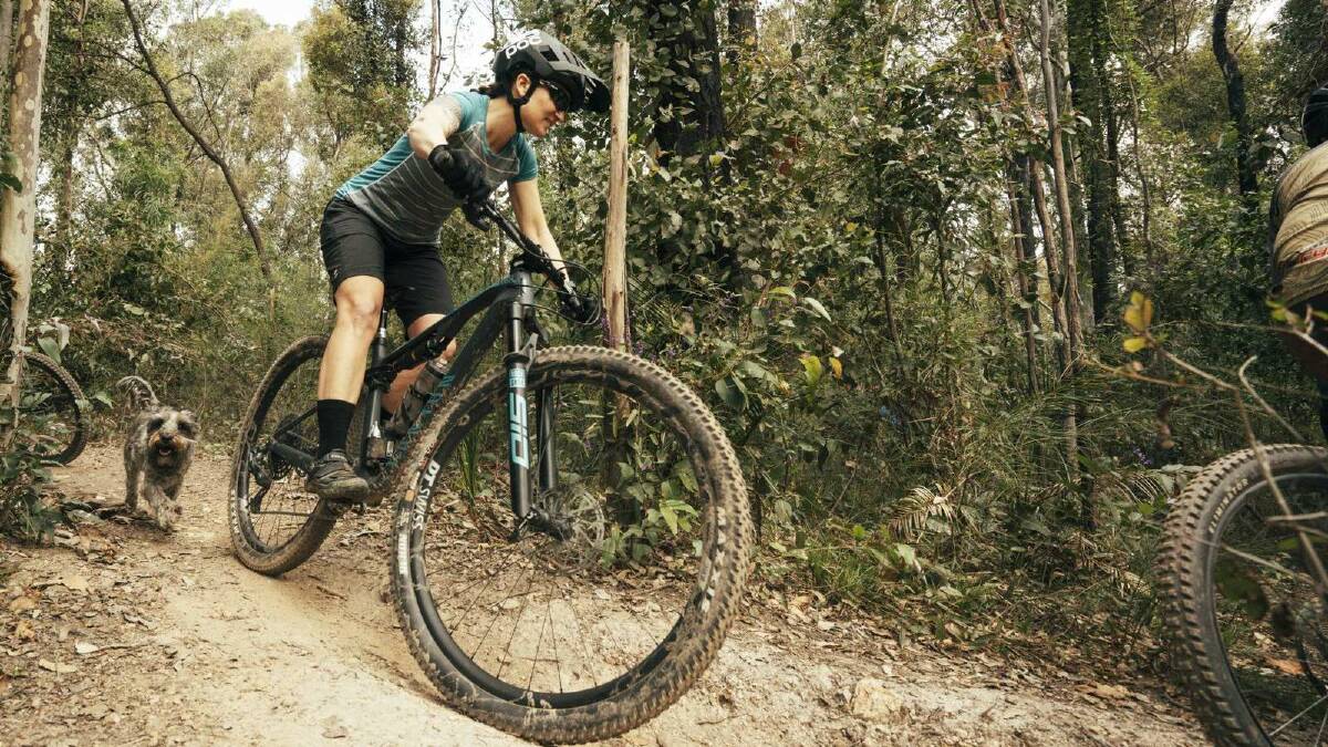 Business and entrepreneurs can attend a workshop to keep up the with the pace of the growing mountain bike tourism market. Picture supplied.
