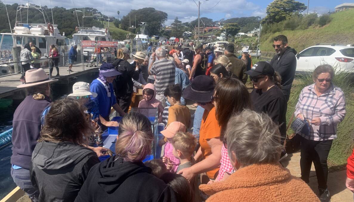 The What's Under the Wharf event was a collaboration between Eurobodalla Shire Council, Batemans Marine Park, NCMG, Tangaroa Blue and underseaROV. Picture supplied.