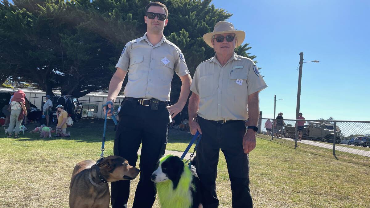 Eurobodalla Shire Council rangers Mitchell and Phil, with a two-year old Australian Kelpie ready for adoption and Phil's own dog Broch. Picture by Marion Williams
