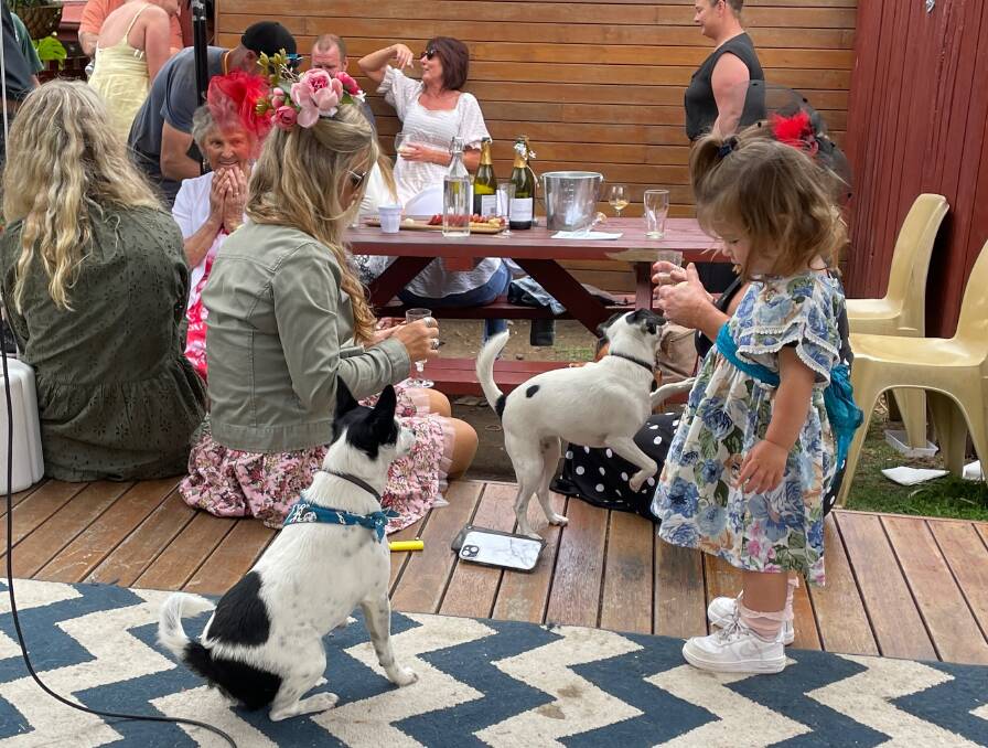 The dogs happily mingled with the dressed-up spectators as everyone awaited the main event. Picture by Marion Williams