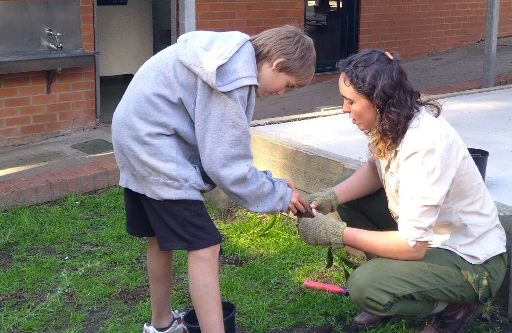 Narooma High School student Reuben Hankinson and Cliodhna Maguire from Botanic Gardens of Sydney Youth Community Greening program working to create a new native food forest for the school's home economics students to use in cooking. Picture by Christina Potts