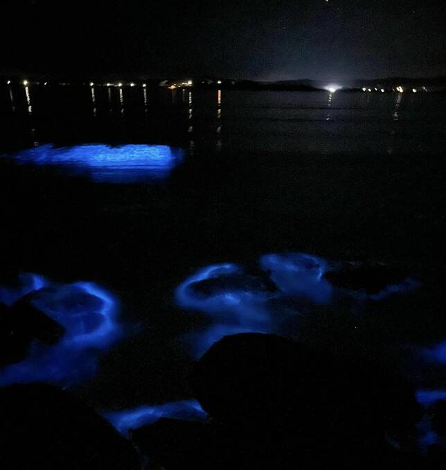 Mayor Mathew Hatcher said about 300 metres of the beach was illuminated at the southern end of North Broulee Beach. Picture by Mathew Hatcher 
