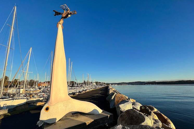 Sculptor Jesse Graham's piece, 'Pelicant' installed in Batemans Bay. Picture via Visit NSW