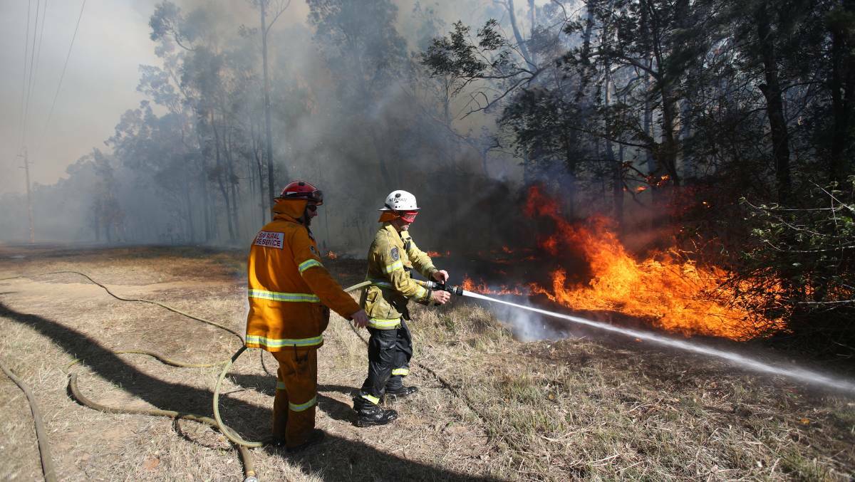 The autumn bushfire outlook report identified no increased risk this season, despite increased foliage growth across eastern NSW. Picture from file