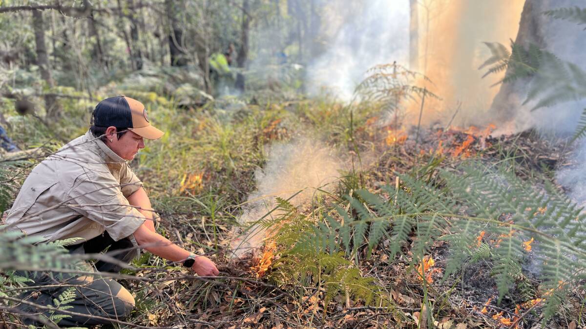 Operations manager for Tamworth LALC, Terri Whitton lighting a patch of grass during the cultural burn in Tura Beach. Picture by James Parker