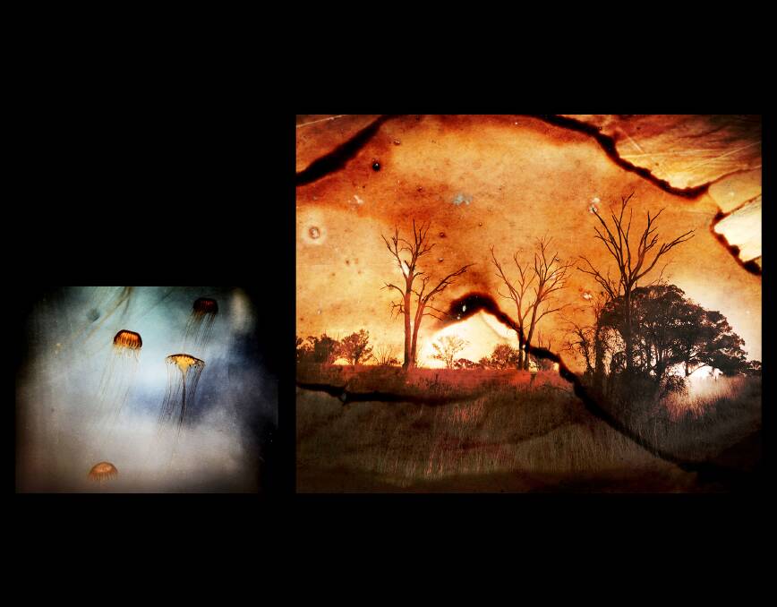 Artworks capturing the emotion of black summer bushfires recognised on a global stage