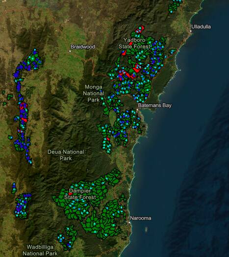 A map of Southern Greater Glider locations on the South Coast. Dark blue are areas with the highest proportion of gliders in NSW, and red is forest being logged. Picture supplied
