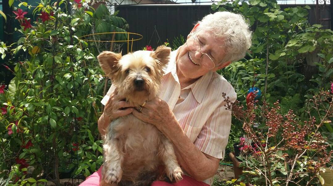 FAST FRIENDS: Leila Boerham with Laddie. The pair were in a car crash, just north of Moruya, on December 23. Mrs Boreham says the man upstairs was looking after them.