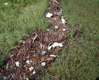 Litter and debris above the tide line after flooding. File picture.
