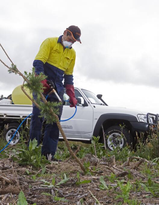 Roadside weedspraying of sealed roads across the shire will continue until the end of September. File Picture.