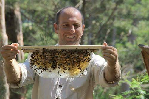 BEES KNEES: Beekeeper Adrian Iodice will present a workshop at Moruya's SAGE next month. 