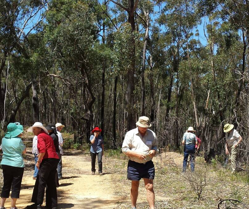 Australian Plant Society South East group off the Western Distributor road looking for plants. They have organised some great outings and talks for 2017.