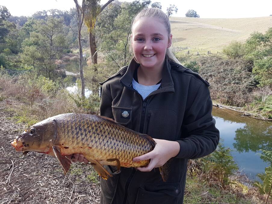 COMP CARP: Young NSGFC member Alana Hirs with her late entry, a carp 69cm caught at the family farm property in Ensay, East Gippsland.