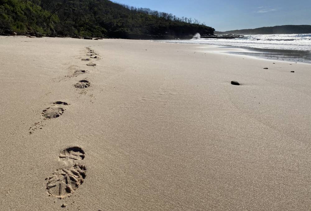 Enjoy solitude and reconnect with nature during a winter hike along the Murramarang South Coast Walk. Picture by Tim the Yowie Man