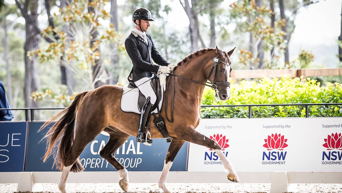Dressage by the Sea to bring muchneeded visitors to the South Coast
