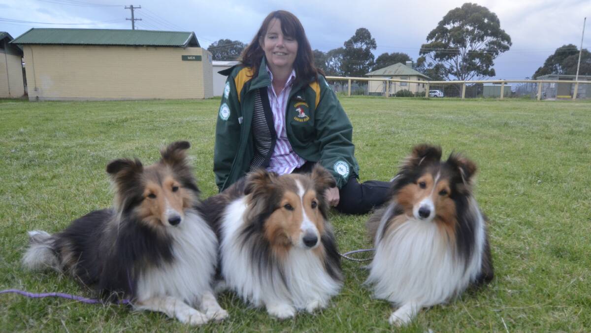 Big winners: Lyn Watcham, together with Issy, Molly and Riley, won multiple awards and titles at the Eurobodalla Canine Club Awards presentations.