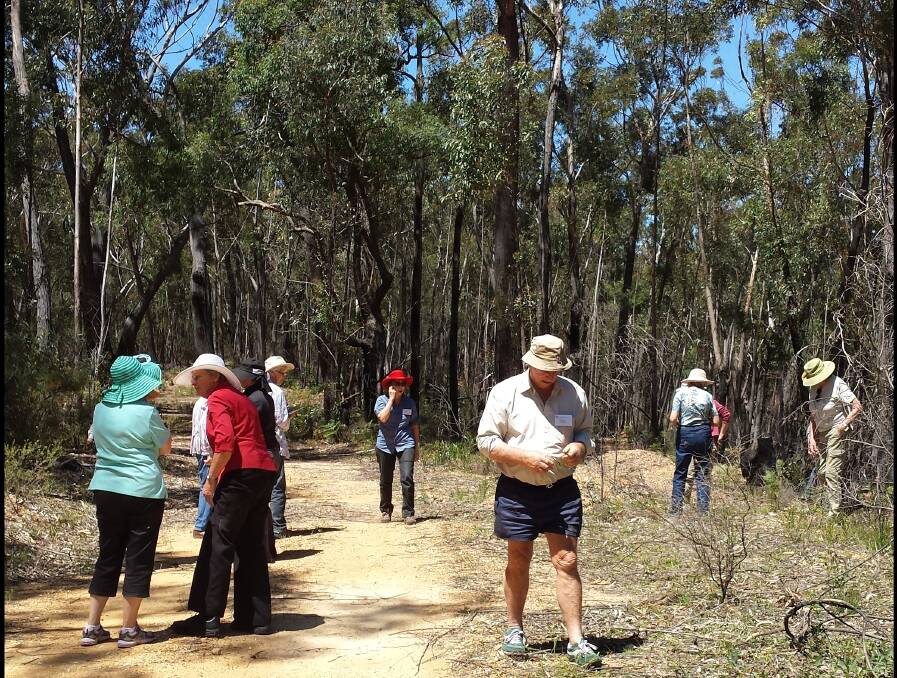 On the hunt: Members of the Australian Plant Society observe varied understorey plants along Western Distributor Road during a recent outing. 