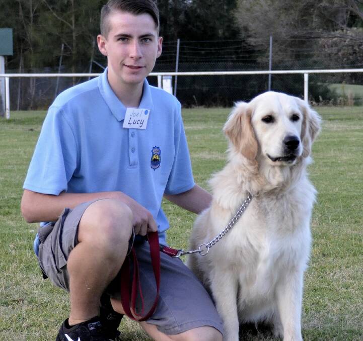 Young team: Joel Ware, pictured with Lucy, took out the title of Best Junior Handler at the Eurobodalla Canine Club 2016 awards.