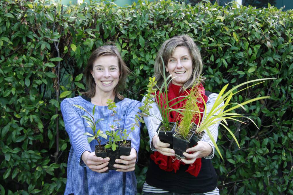 Plant alternatives: Emma and Heidi from Council’s environment team show off some of the native species you can swap for removing cotoneaster from your yard.