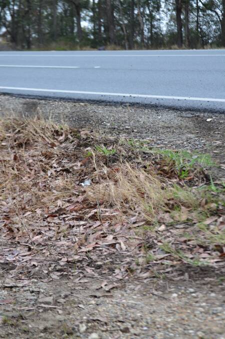 Skid marks from where a car left the Princes Highway in an accident on November 17.