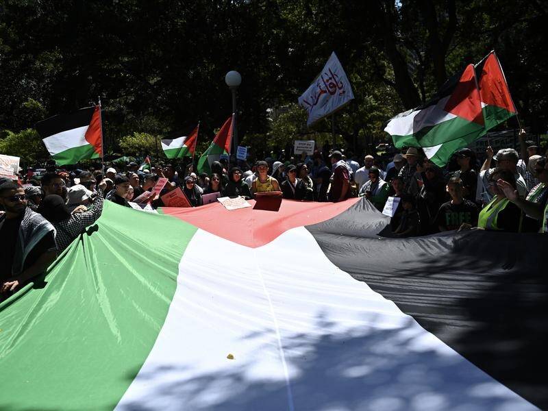 Pro-Palestine demonstrators have rallied in Australian capital cities to support those in Gaza. (Steven Saphore/AAP PHOTOS)
