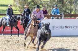 The Ringers Western Gold Buckle Campdraft Championship at Bawley Point's Willinga Park continues to lead the way in Australian campdrafting. Picture supplied 
